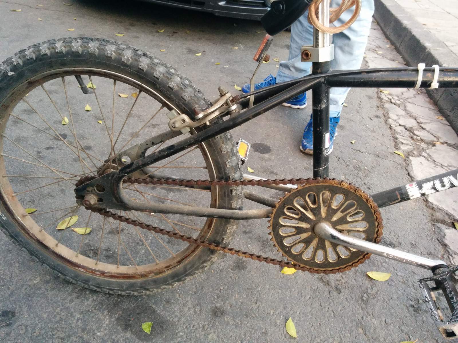 Which looptail Kuwahara bmx has gussets as well?? Forums