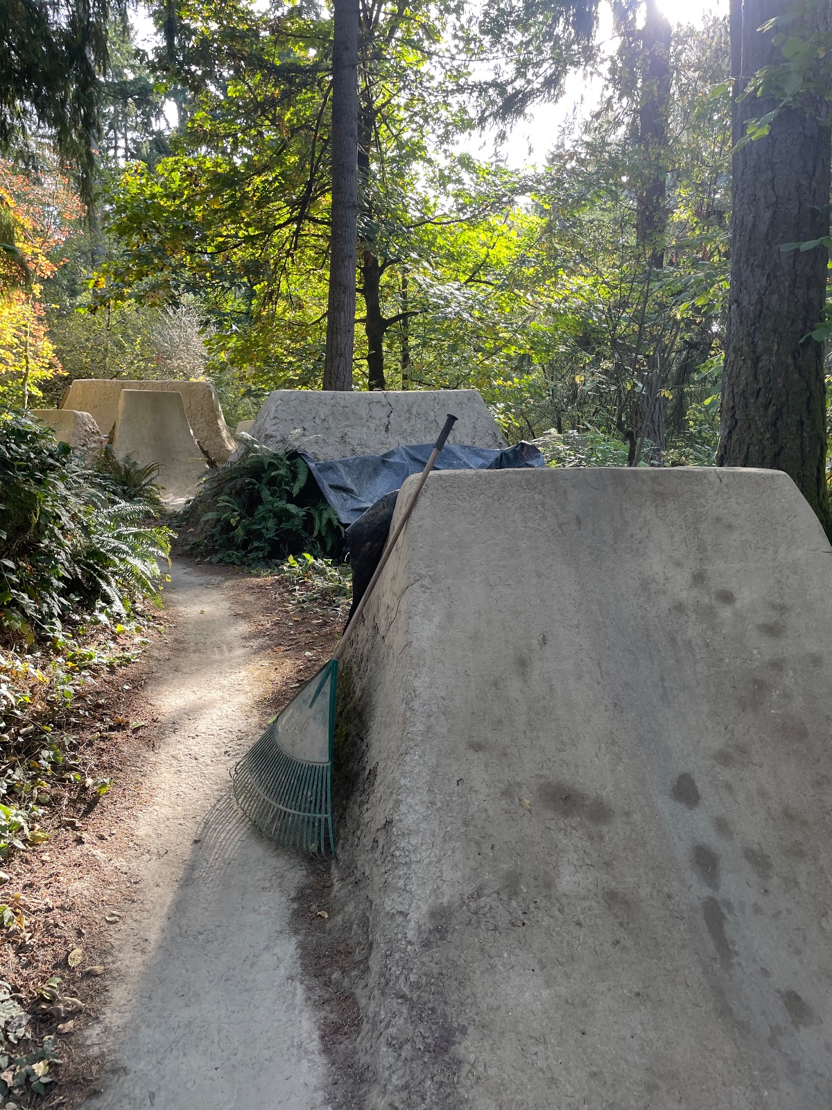 Threads Ind the old guys who still want to ride thread! - BMXmuseum.com Forums